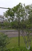 Туры в отель Kailefu Holiday Hotel
