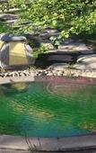 Туры в отель Taibaishan Yulongwan Hot Spring Hotel