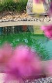 Туры в отель Taibaishan Yulongwan Hot Spring Hotel