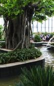 Туры в отель Taibaishan Yulongwan Hot Spring Hotel