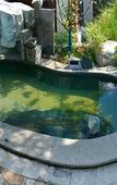 Туры в отель Taibaishan Yulongwan Hot Spring Hotel