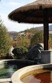 Туры в отель Taibaishan Yulongwan Hot Spring Hotel