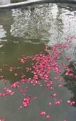 Туры в отель Taibaishan Yulongwan Hot Spring Hotel
