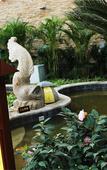 Туры в отель Taibaishan Yulongwan Hot Spring Hotel