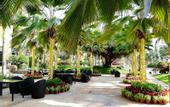 Туры в отель Milong Estate Iconic Hotel & Resort