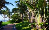 Туры в отель Milong Estate Iconic Hotel & Resort