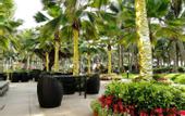 Туры в отель Milong Estate Iconic Hotel & Resort