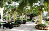 Туры в отель Milong Estate Iconic Hotel & Resort