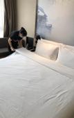 Туры в отель Atour Hotel on Wutong Avenue, Dr. Sun Yat-sen's Mausoleum Scenic Area, Nanjing