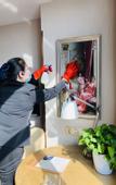 Туры в отель Vienna International Hotel (Baotou Zhengxiang International Wanda Plaza Branch)