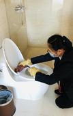 Туры в отель Vienna International Hotel (Baotou Zhengxiang International Wanda Plaza Branch)