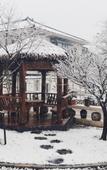 Туры в отель Floral Hotel · Yixing Limo Shanfang Hotel