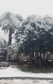 Туры в отель Floral Hotel · Yixing Limo Shanfang Hotel
