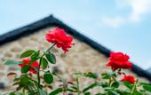 Туры в отель Floral Hotel· Building Taishan Slowly Hotel