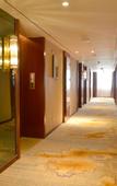 Туры в отель Guoluo Hotel