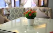Туры в отель Nyingchi Dongchen Jinhui Hotel (Binhe Road)