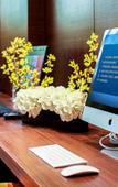 Туры в отель Hampton by Hilton Ulanhot