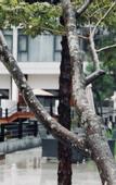 Туры в отель Yunjin Hotel