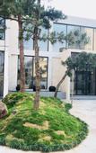 Туры в отель Yunjin Hotel