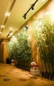 Туры в отель Timeless Hotel