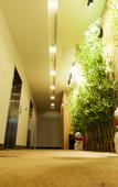 Туры в отель Timeless Hotel