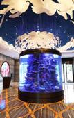 Туры в отель Global Harbor Cruise Hotel