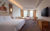 Туры в отель Vienna International Hotel (Huizhou High Speed Railway North Station Xing'an City)