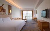 Туры в отель Vienna International Hotel (Huizhou High Speed Railway North Station Xing'an City)