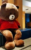Туры в отель Holiday Inn Express WUHAN OPTICAL VALLEY by IHG