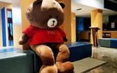 Туры в отель Holiday Inn Express WUHAN OPTICAL VALLEY by IHG