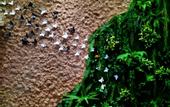 Туры в отель Bali Holiday Hotel
