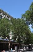 Туры в отель Fuhua International Hotel