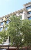 Туры в отель Fuhua International Hotel