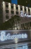 Туры в отель The Ananas Hotel (Beichen Expo Garden)