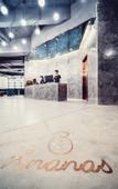 Туры в отель The Ananas Hotel (Beichen Expo Garden)