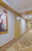 Туры в отель Vienna Hotel (Dongguan Zhongtang Qunying Road)