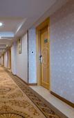 Туры в отель Vienna Hotel (Dongguan Zhongtang Qunying Road)