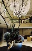 Туры в отель Sanyin Hotel (Hangzhou Xiaoshan International Airport)
