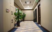 Туры в отель Dubai Hotel
