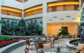Туры в отель Dubai Hotel