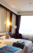 Туры в отель Dubai Hotel