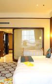Туры в отель Dubai Hotel