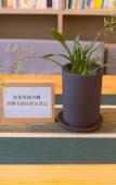 Туры в отель Cinch Hotel (Yingxi Fenglin Town Store)