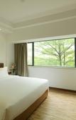 Туры в отель MS  LOTUS  HOTEL(Shenzhen International Convention and Exhibition Center Store)