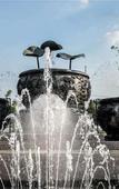 Туры в отель Eton Pine Valley Hotel