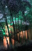 Туры в отель Nanshan Bamboo Sea Micheng Bubble Resort Garden