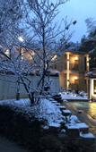 Туры в отель Nanshan Bamboo Sea Micheng Bubble Resort Garden