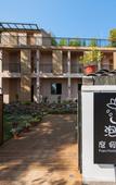 Туры в отель Nanshan Bamboo Sea Micheng Bubble Resort Garden