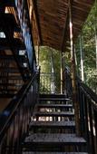 Туры в отель Nanshan Bamboo Sea Micheng Bubble Resort Garden