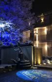 Туры в отель Nanshan Bamboo Sea Micheng Bubble Resort Garden